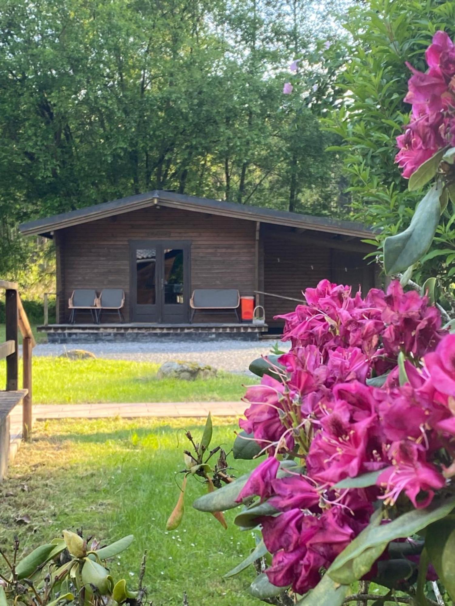 Heidegut Eschede Reitsportanlage Und Feriendorf Zewnętrze zdjęcie