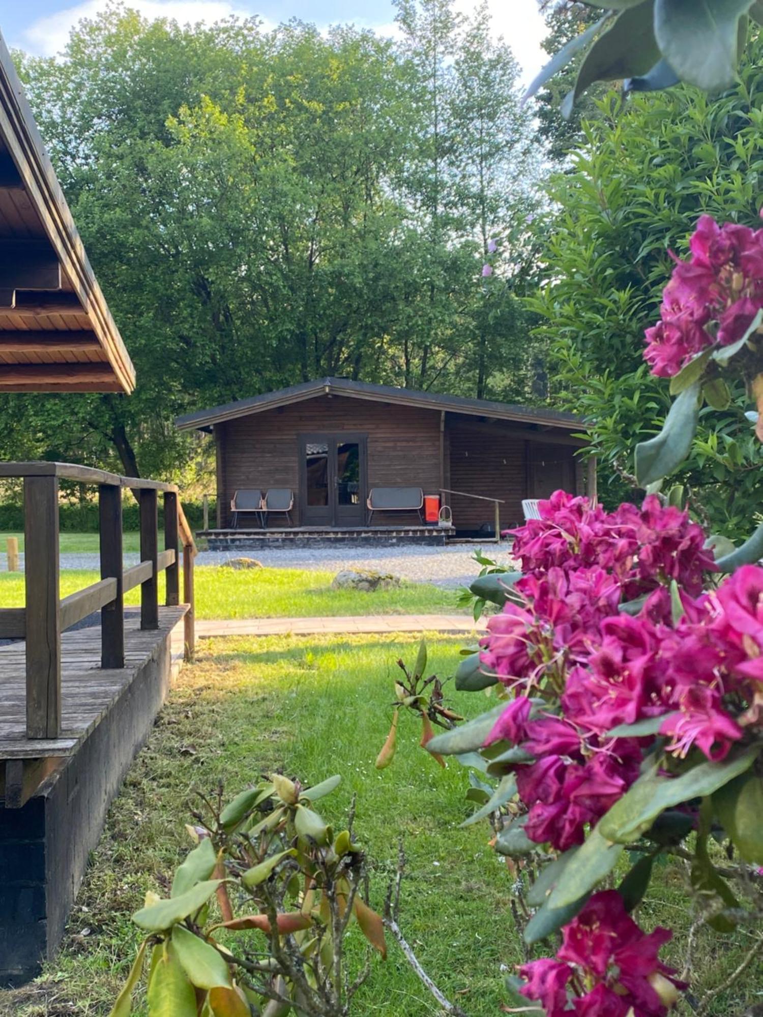 Heidegut Eschede Reitsportanlage Und Feriendorf Zewnętrze zdjęcie