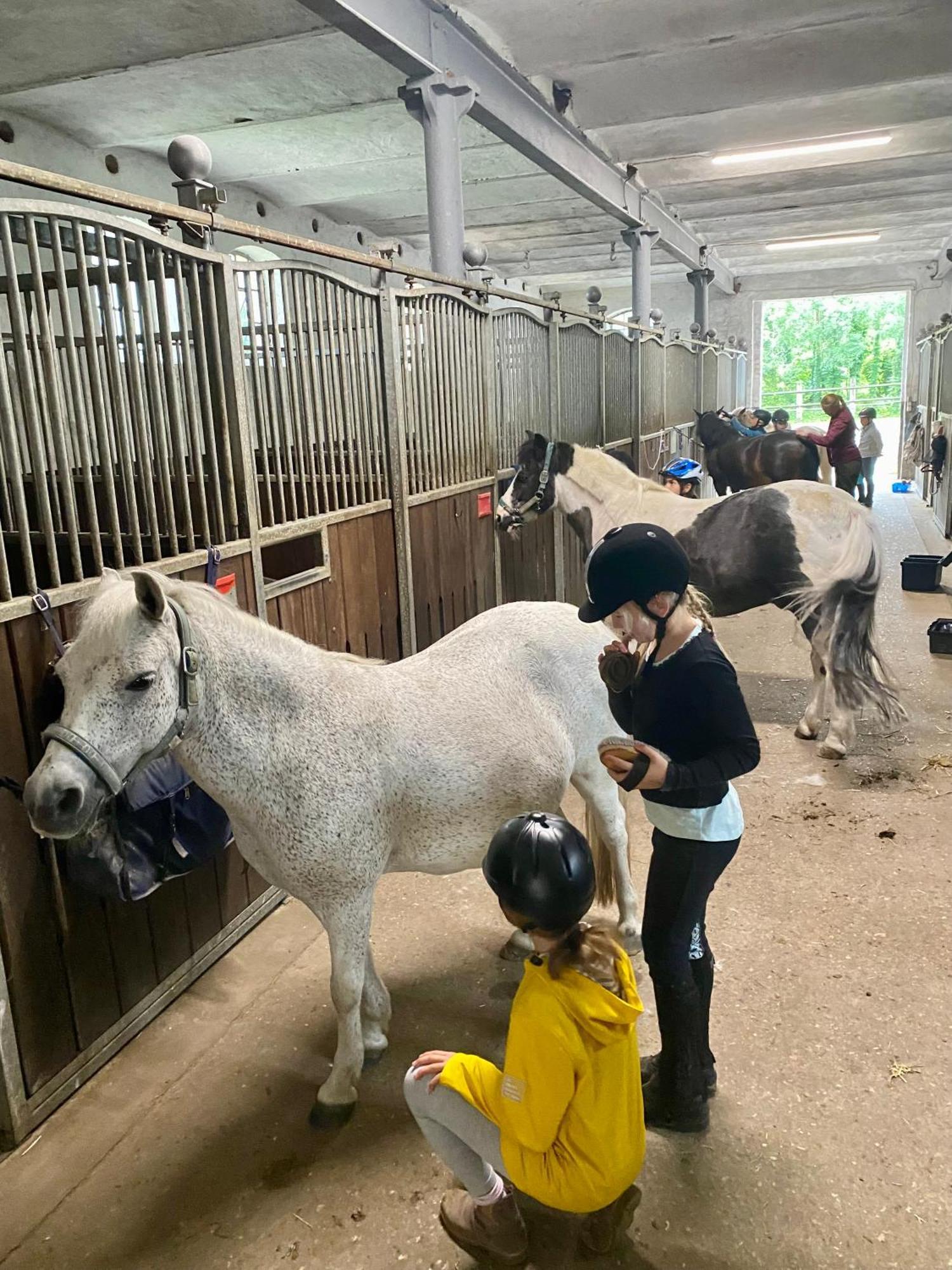 Heidegut Eschede Reitsportanlage Und Feriendorf Zewnętrze zdjęcie