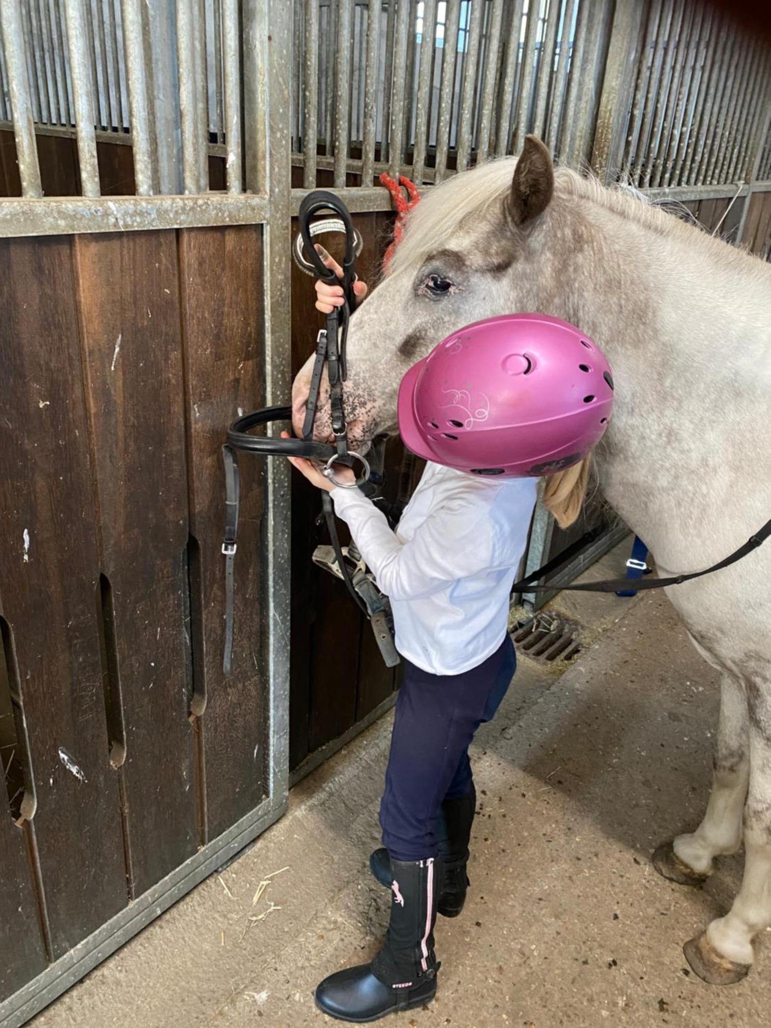 Heidegut Eschede Reitsportanlage Und Feriendorf Zewnętrze zdjęcie