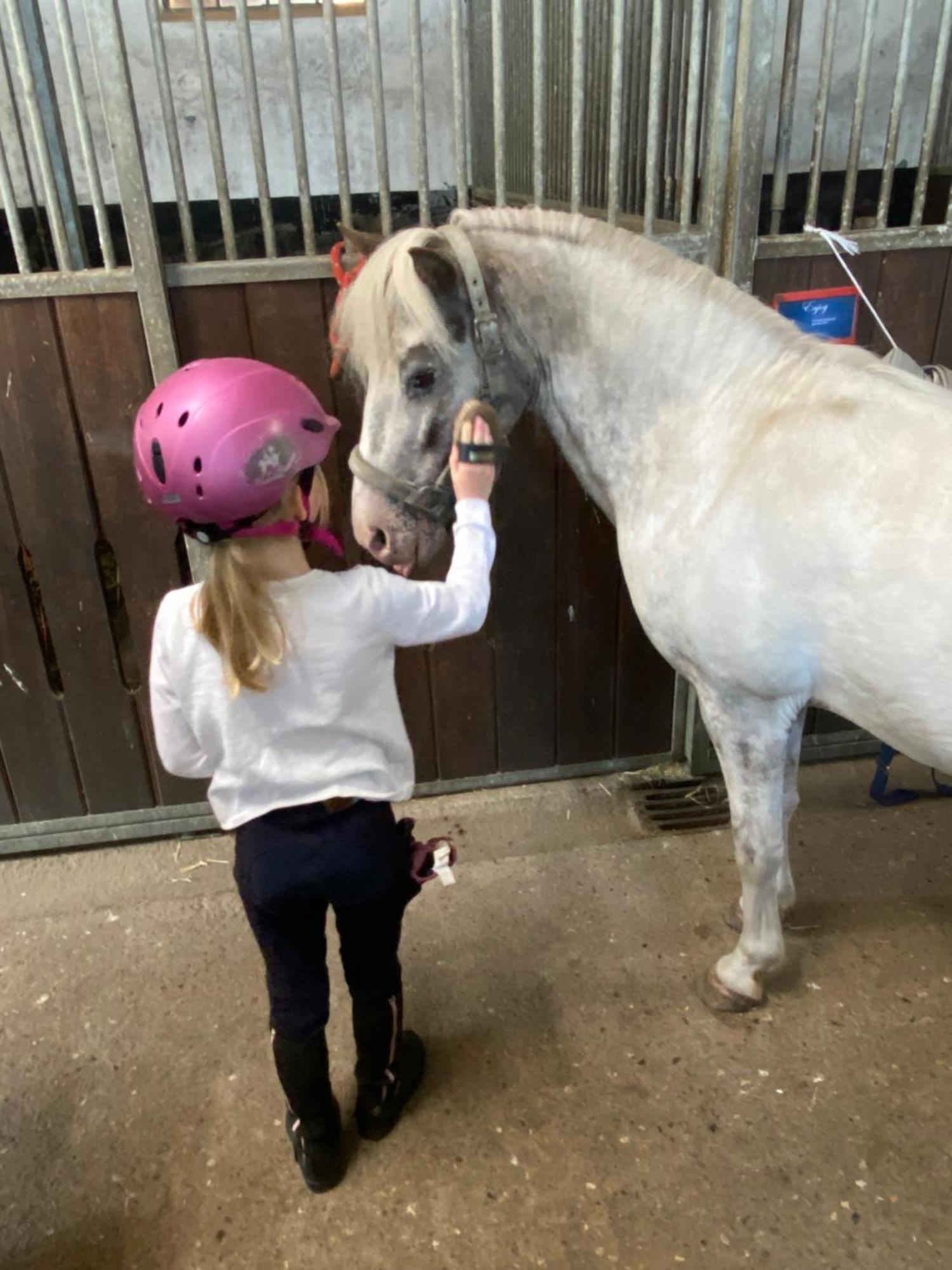 Heidegut Eschede Reitsportanlage Und Feriendorf Zewnętrze zdjęcie